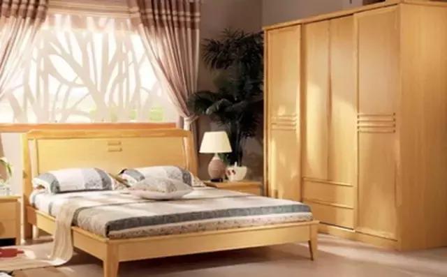 柴木是什么树种,柴木是什么