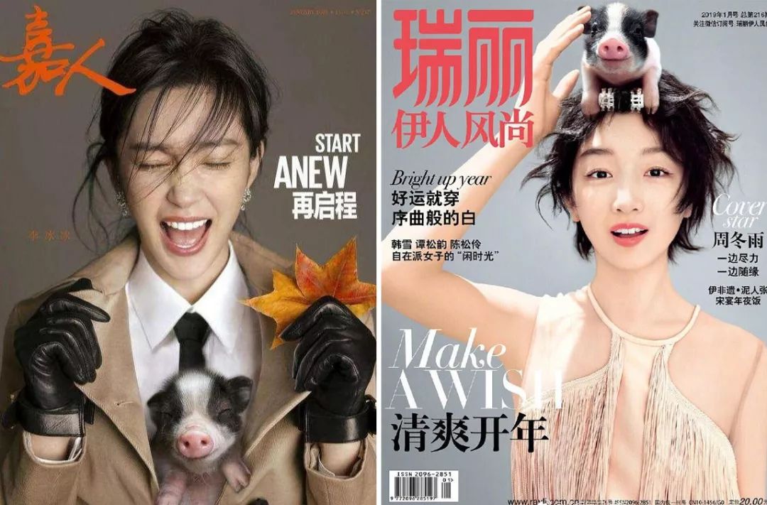 猪年元素单品有哪些,猪年限定系列