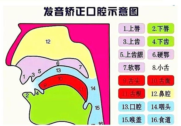 说话晚、说不清...如何改善宝宝语言发育难题?(内附专家建议)
