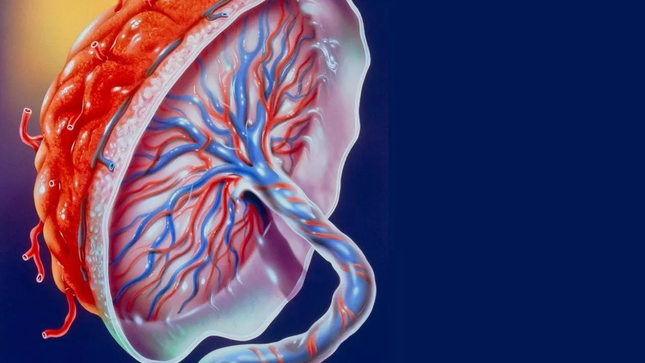 宝宝生出来了，医生还在伸手掏，陪产的丈夫怒斥“还有什么可掏”