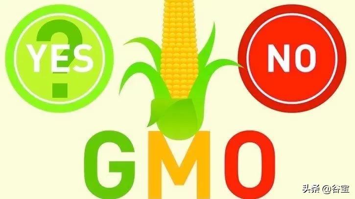 谷宝“六不用”——生态农业的初心与坚守