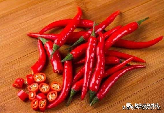 养花必备四种调料,养花最好的4种料