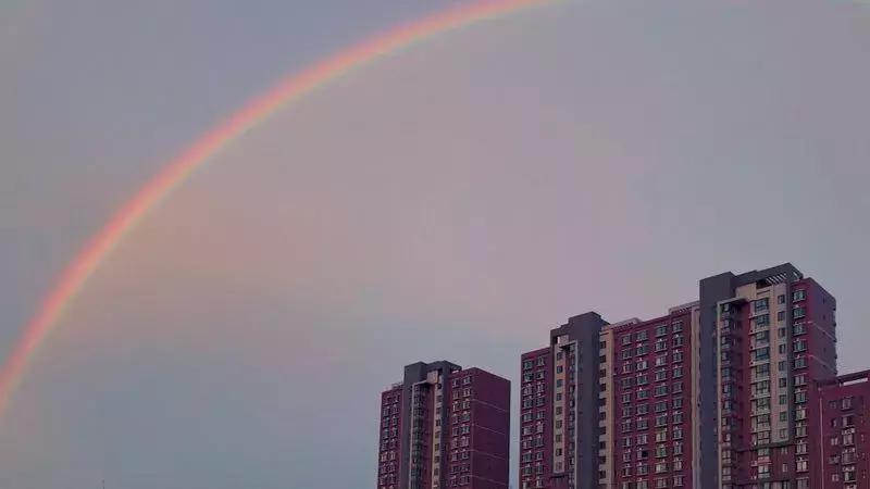 风雨彩虹！2456.2万曝光量！洛阳，这一次太惊艳了.......