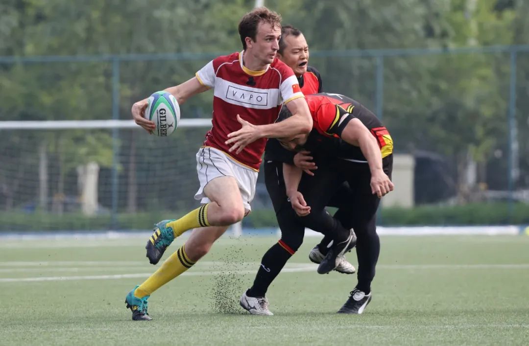 佳能rf100-500mm镜头拍鸟,佳能长焦相机100倍