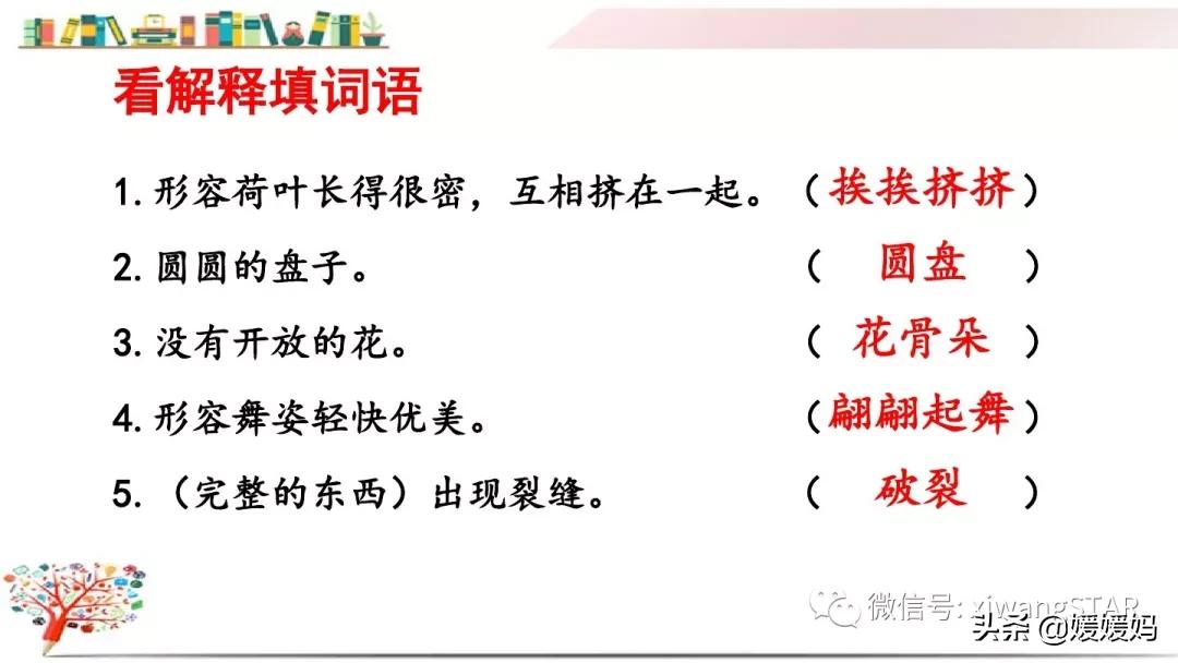 三年级下册荷花ppt课件部编版,三年级下册语文第三课荷花小练笔