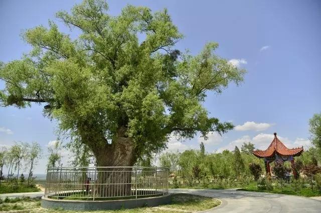 我在长武刚刚好,何必羡慕北上广