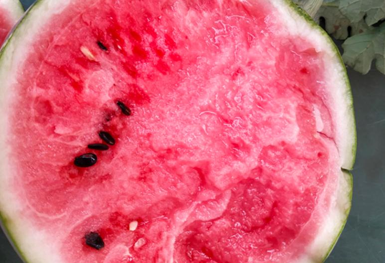 麒麟瓜和普通的西瓜有什么区别,西瓜8424和麒麟瓜的区别