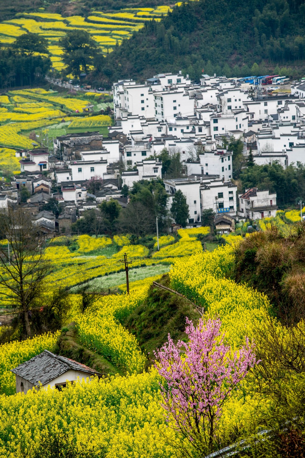 cnn评选的中国最美的30个地方,美国cnn评出中国40个最美丽的地方