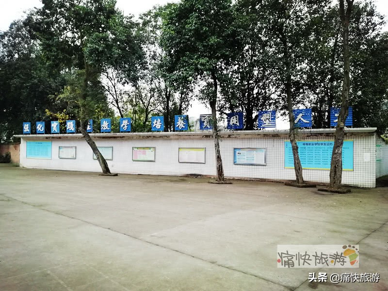 自贡桃花山学校,2014年自贡市桃花山学校