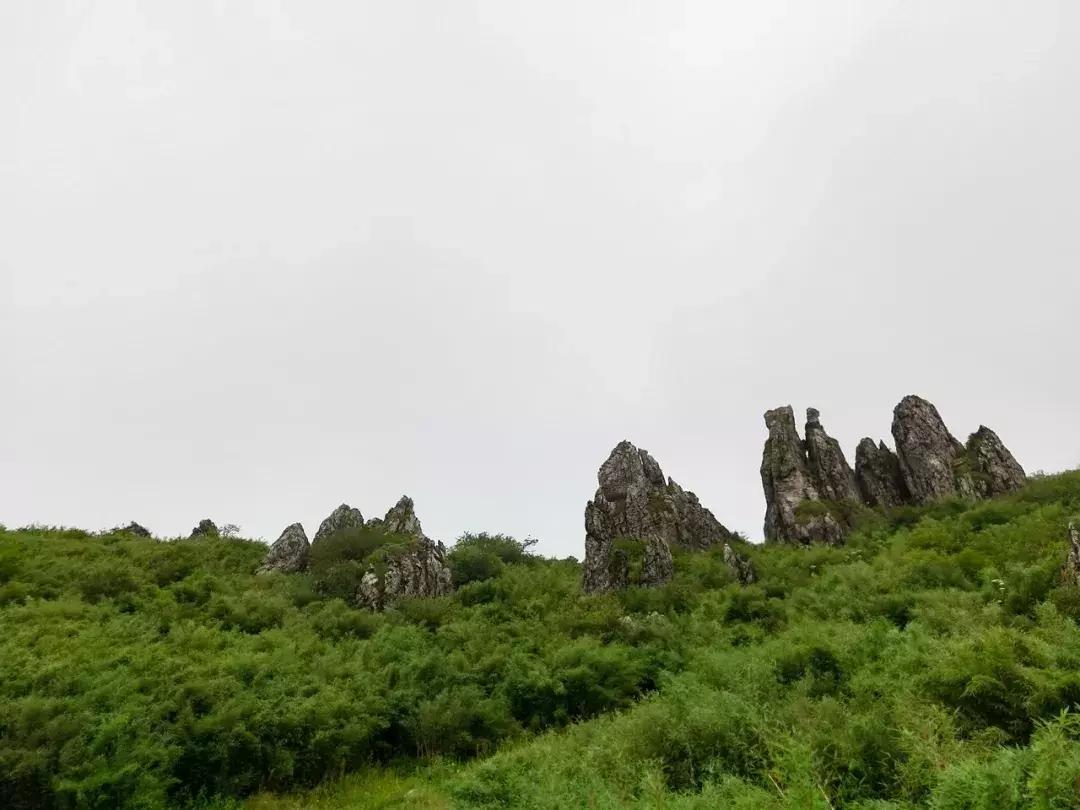 神农架攻略书,重庆出发神农架三日自驾游攻略