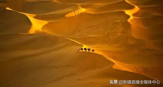 *疆新**人这么牛逼，你不知道吧