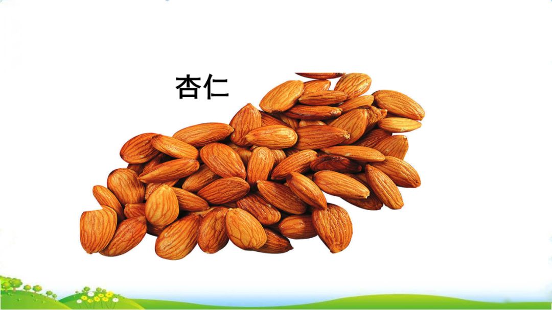 五年级语文第17课松鼠讲解,五年级上册第17课松鼠教材详解