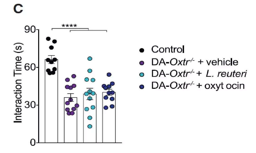 让自闭症小鼠告别“社恐”，仅需一瓶乳酸菌？
