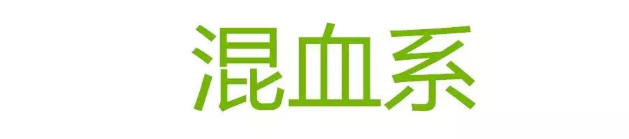 吴宣仪和杨超越戴美瞳,杨超越戴美瞳技巧