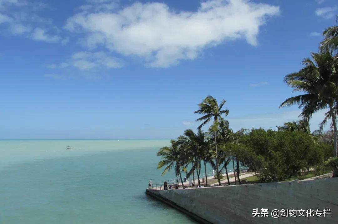 周末散文五人行｜剑钧｜天边的海明威猫