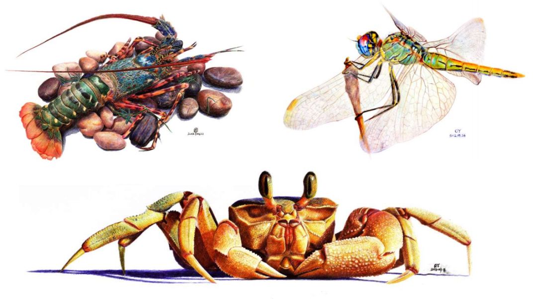 怎么用一支笔画立体画,如何用一支笔