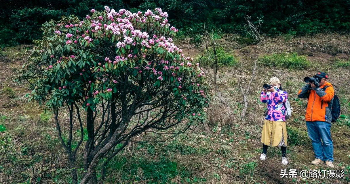 五一带娃小众宝藏旅行地吉林周边,适合五一出游的小众海边城市