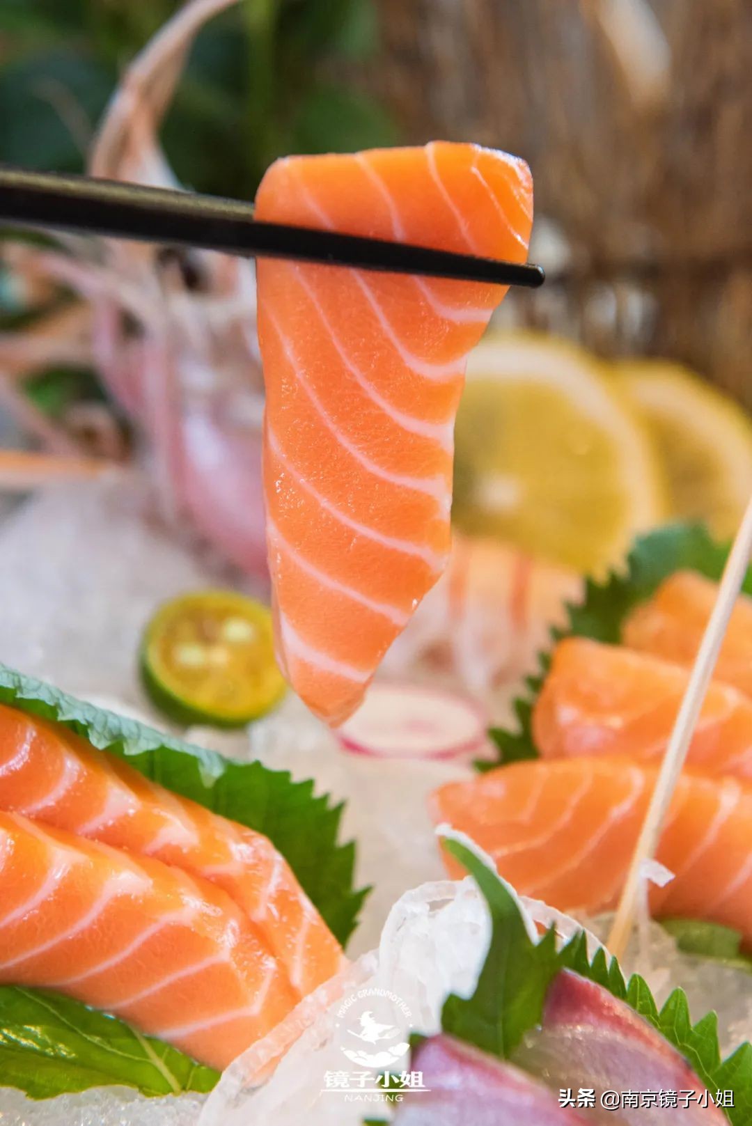 三文鱼刺身海鲜店,广州三文鱼刺身日料店