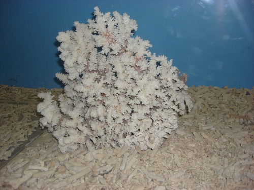 西安带孩子们最值得去的海洋公园,遛娃海洋馆打卡视频