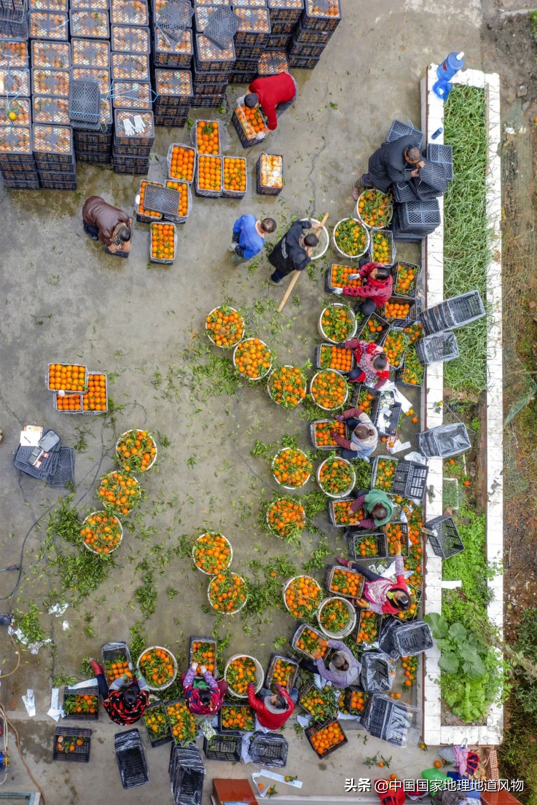 江西vs湖南哪个更能吃辣,江西和湖南pk辣椒