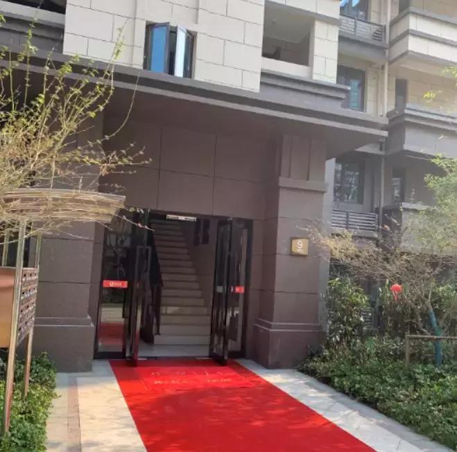 三人成虎感受到了什么,三人成虎口碑