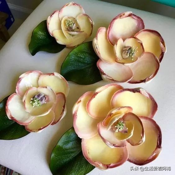 在贝壳里做上好看的装饰,简单的贝壳的工艺品