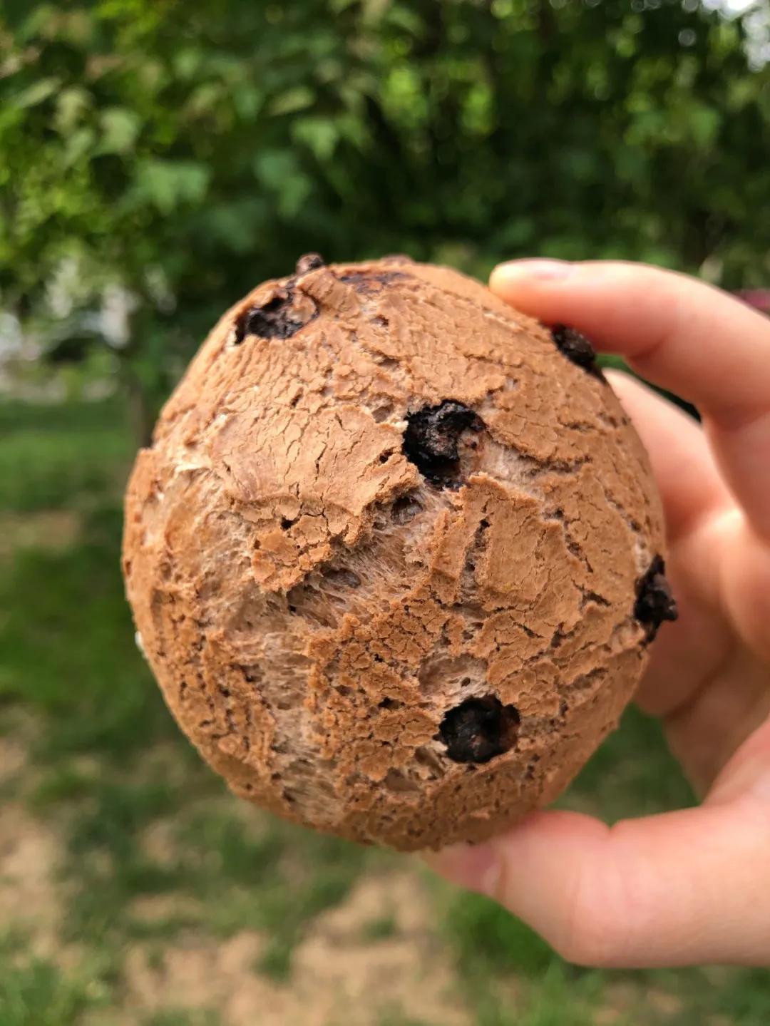 西安的00后,也开始吃这种店了