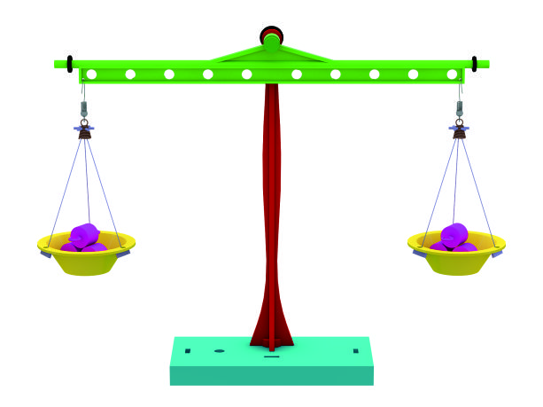 科学小实验天平,六年级科学实验探究杠杆平衡规律