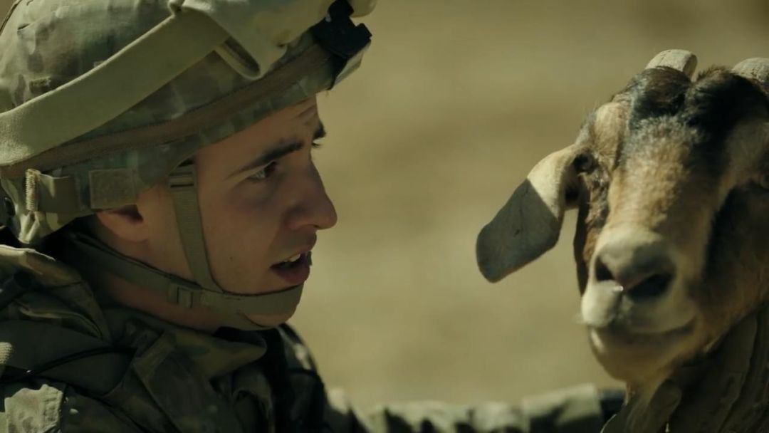 不及格电视剧免费全集,不及格美剧