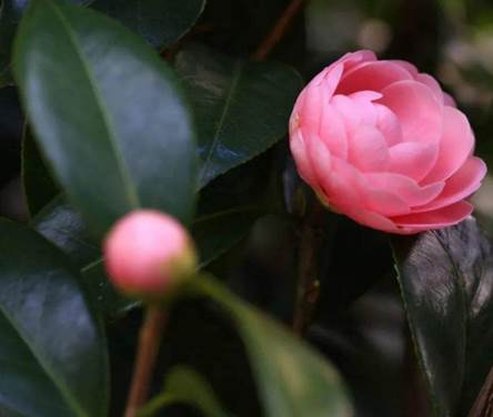 朱一龙行程最近安排,朱一龙11月最新行程