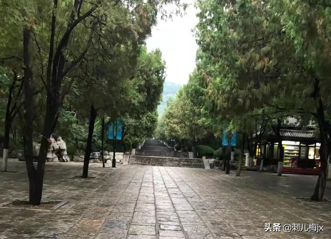 上有老,下有小哦—代沟(45)