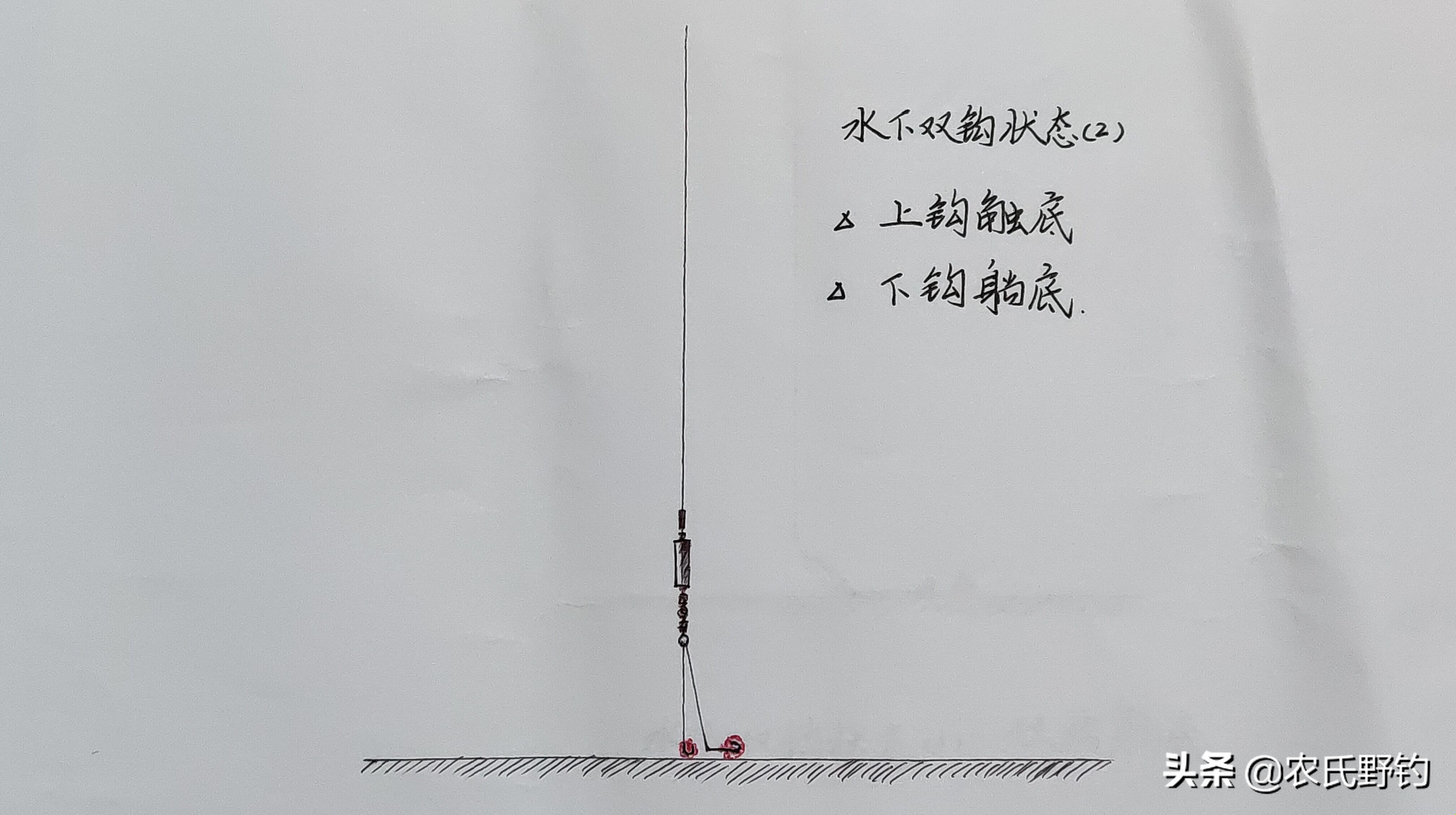 几个小技巧教你钓上鱼,掌握这几个野钓小技巧