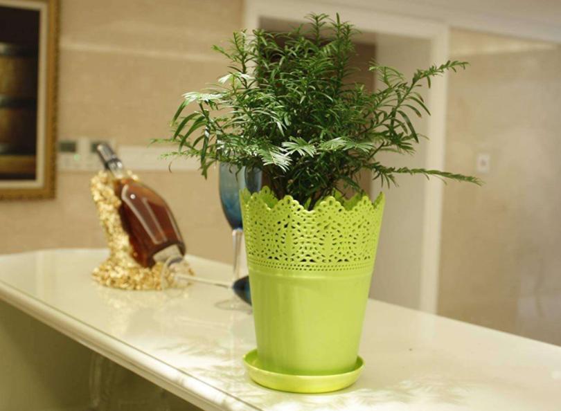 刚装修完的房子去甲醛的最快方法,装修的房子甲醛含量多少可以住人