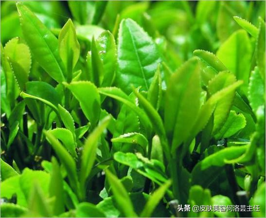 护肤品功效介绍的短视频,护肤品所有的功效成分表大全