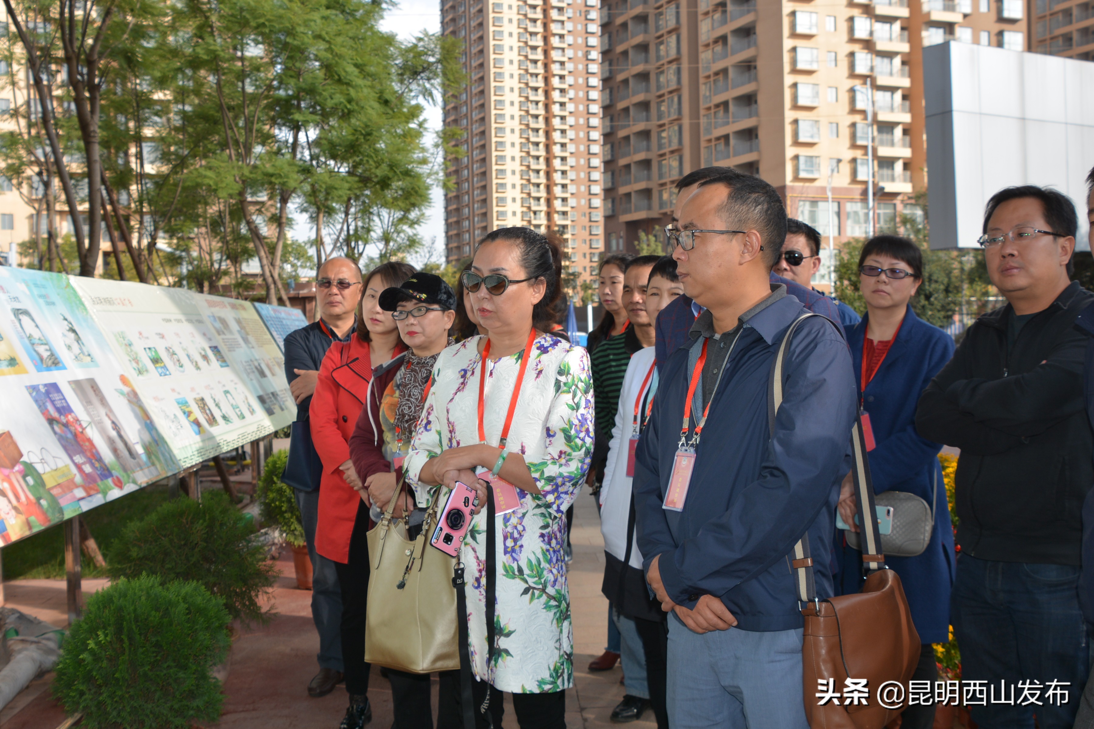 西山区政协视察重点提案办理,政协委员点赞西山区提案办理进度