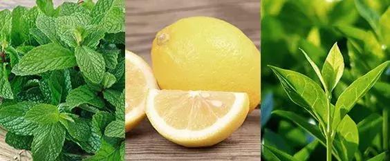 洗护套装薄荷女士,洗护套装推荐烫染去屑