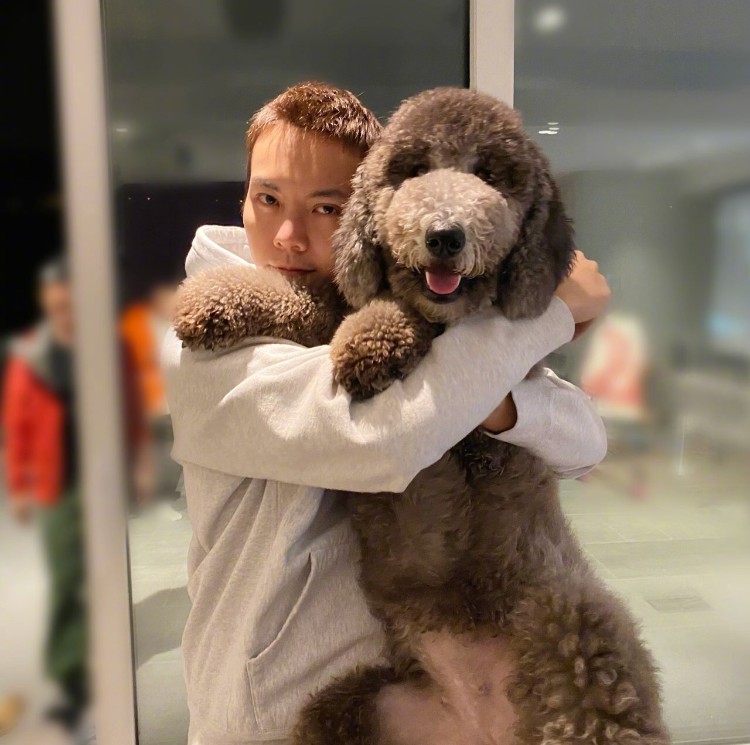 狗生巅峰！陈伟霆家狗狗被抱着睡住湖景豪宅，宋茜家宠物猪更时髦