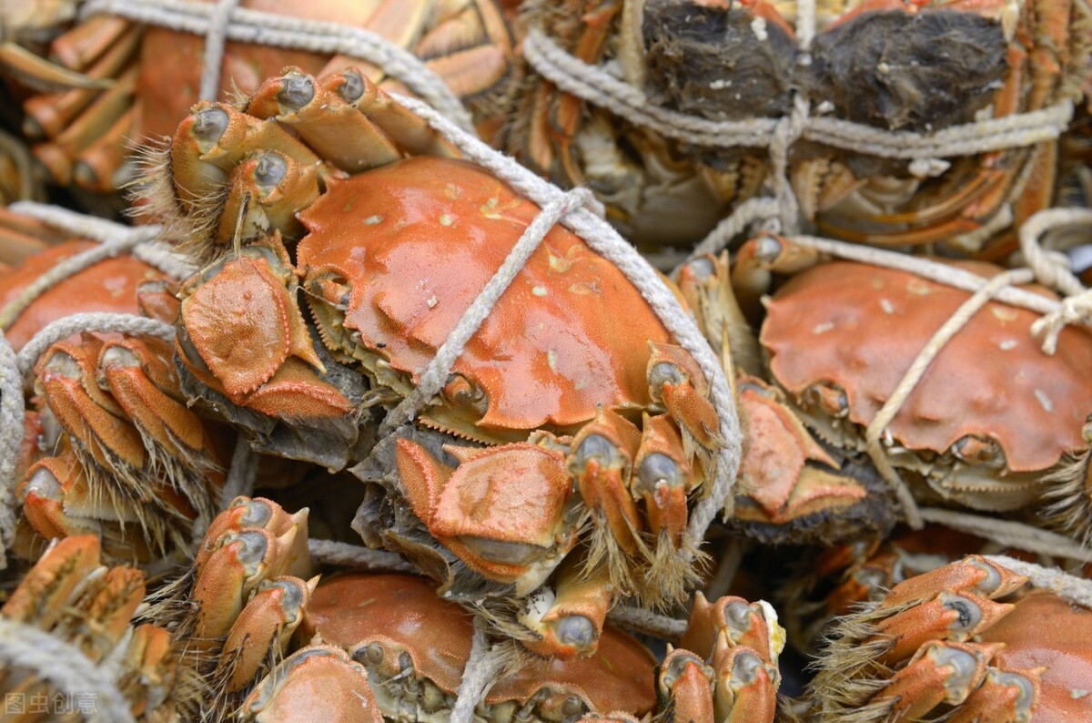 大闸蟹怎么滞销的,大闸蟹正值旺季卖不动