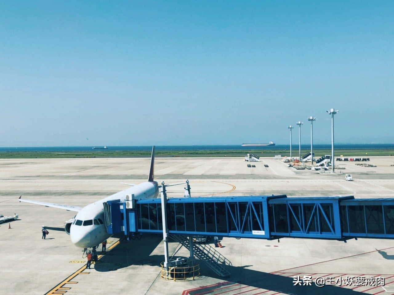 日本自由行攻略7天旅游,日本自由行攻略十大必去景点