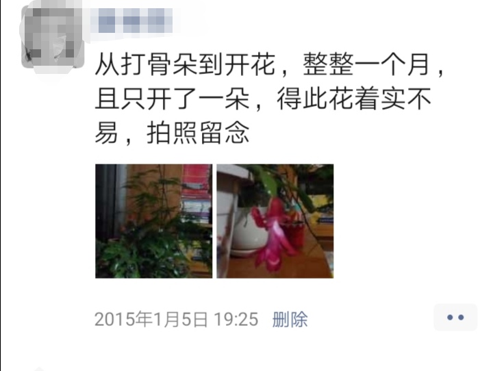 懒人养花小妙招盆栽,懒人养花直播