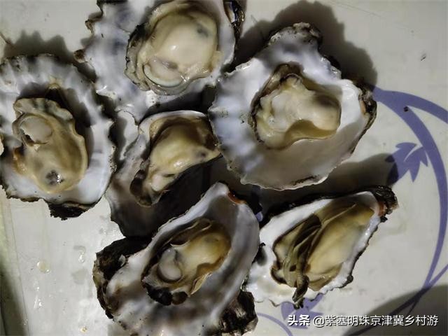 唐山乐亭旅游攻略一日游多少钱,唐山旅游乐亭祥云岛景点大全