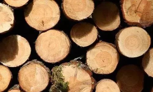 实木家具越重越好,实木家具是重好还是轻好