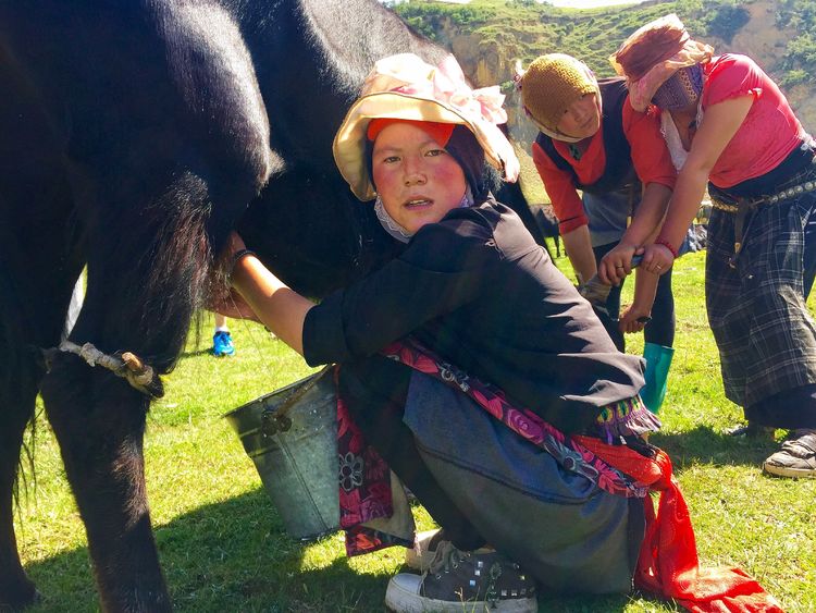 鎽勫奖鏂版墜璐拱鐩告満娉ㄦ剰浜嬮」,鎷嶅绾辨憚褰辫娉ㄦ剰浜嬮」