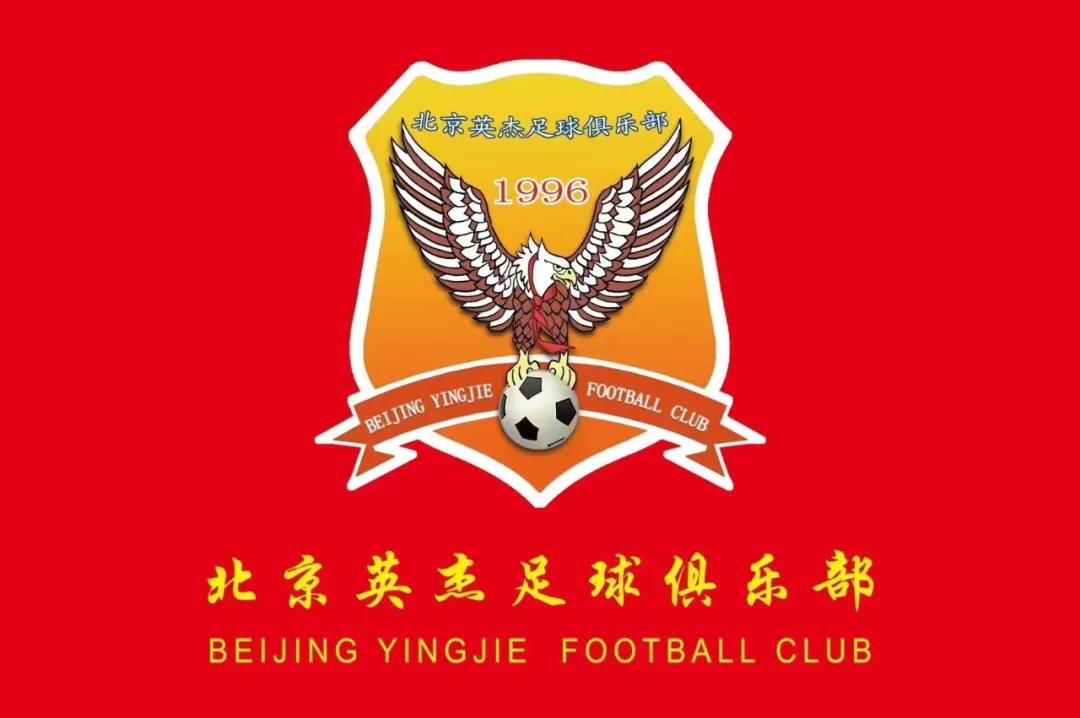 足球老将的故事简介,足球少年的故事