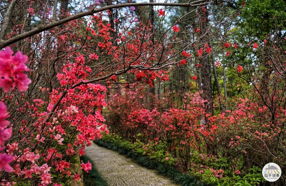 临平体育馆改扩建有篮球场吗,体育公园篮球场施工