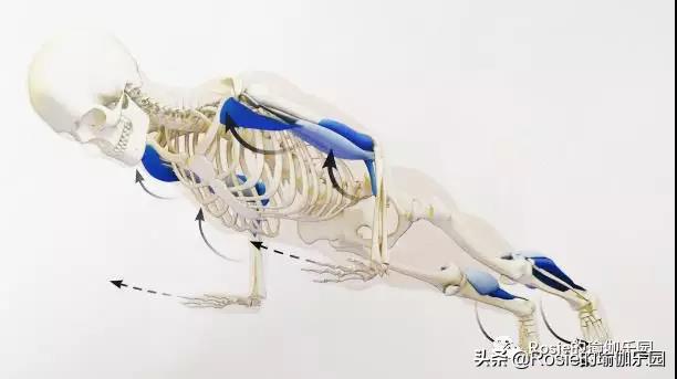 臀部两侧凹陷需要做骨盆修复吗,臀部两侧凹陷的形体改善