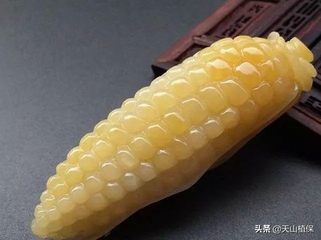 鉴别金丝楠的七大妙招你知道几招,鉴别金丝玉真假最简单的方法