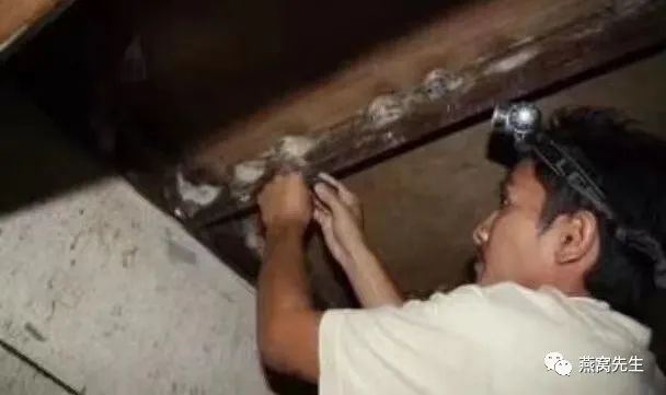 买回来的燕窝发黄了还能吃吗,燕窝饮品闻起来有一股霉味能吃吗