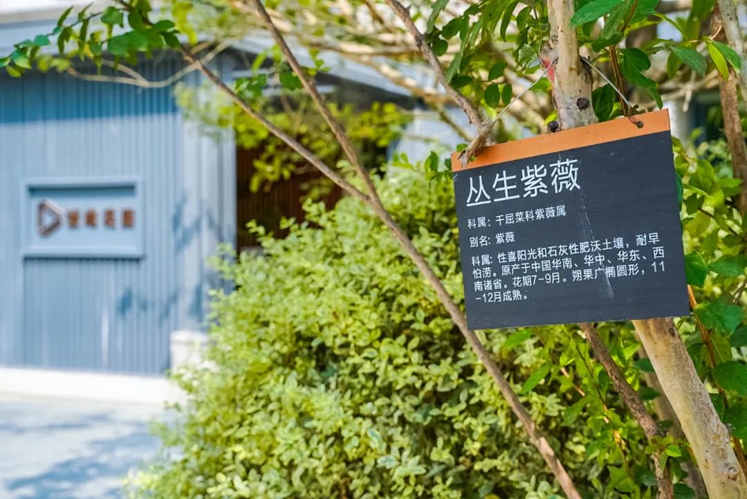 合肥十大平层楼盘排行榜,合肥前十名3室100万首付新楼盘