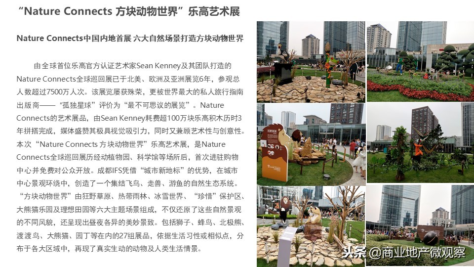 在成都看ifs熊猫,成都ifs上的爬墙大熊猫